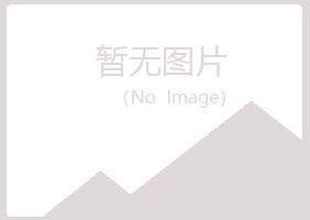 青海盼夏能源有限公司